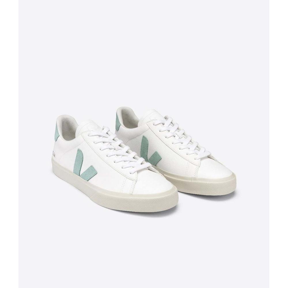 Veja CAMPO CHROMEFREE Low Tops Sneakers Panske White/Mint | SK 295RVD